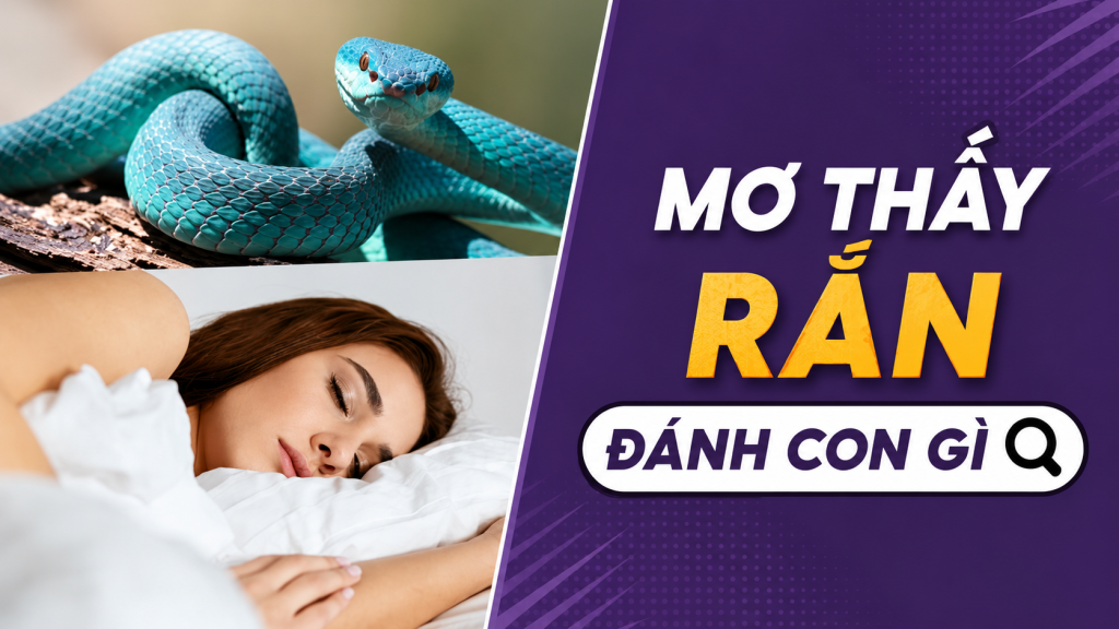 mo thay ran danh con gi 2