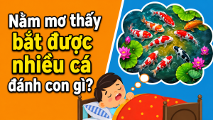 nam mo thay bat duoc nhieu ca danh con gi 2