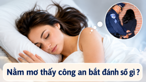 nam mo thay cong an bat danh so gi 2