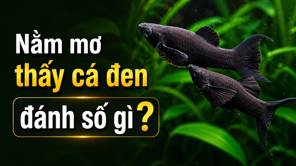 nam mo thay ca den danh so gi