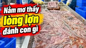 nam mo thay long lon danh con gi