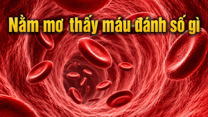 nam mo thay mau danh so gi