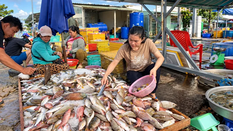 Mua cá và bắt cá trong giấc mơ khác nhau thế nào?