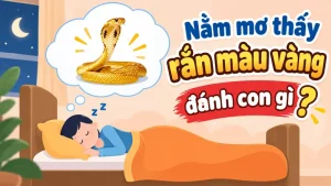 nam mo thay ran mau vang danh con gi